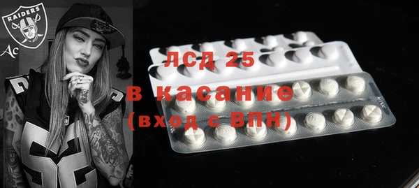 эйфоретик Баксан