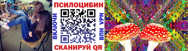 Галлюциногенные грибы Psilocybe  закладка  Барабинск 